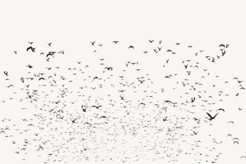 Flying birds silhouette background, animal | Free Vector - rawpixel