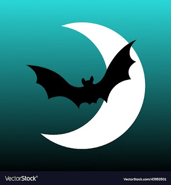 flying black bat on the half moon