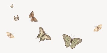 Flying butterflies border background, vector | Free Vector Illustration - rawpixel