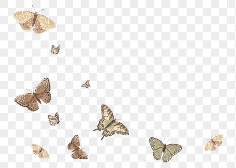 Flying butterflies border png sticker | Free PNG - rawpixel