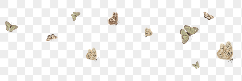 Flying butterflies border png sticker | Free PNG - rawpixel