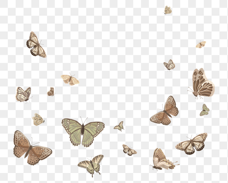 Flying butterflies border png sticker | Free PNG - rawpixel