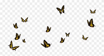 Flying Butterflies Png - Flock Of Butterflies Png