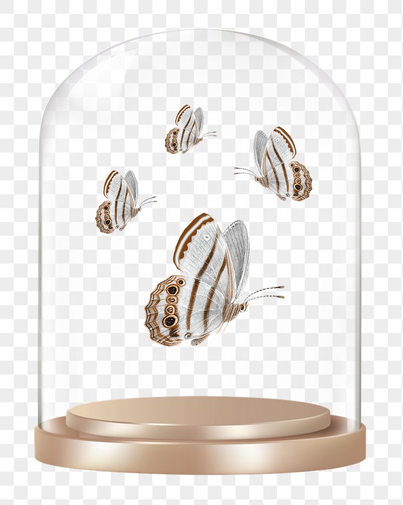 Flying butterflies png glass dome | Free PNG - rawpixel