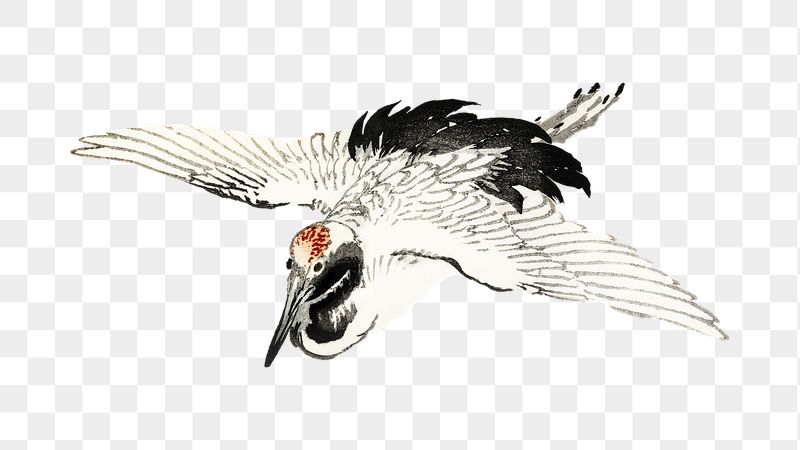 Flying crane png sticker, Kōno | Free PNG - rawpixel