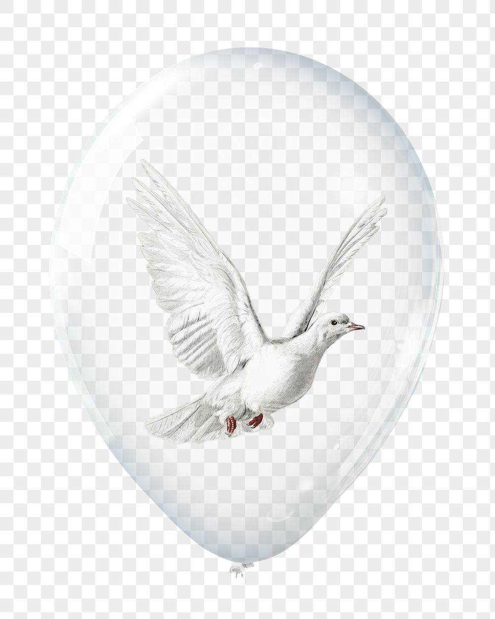 Flying dove png sticker, animal | Free PNG - rawpixel