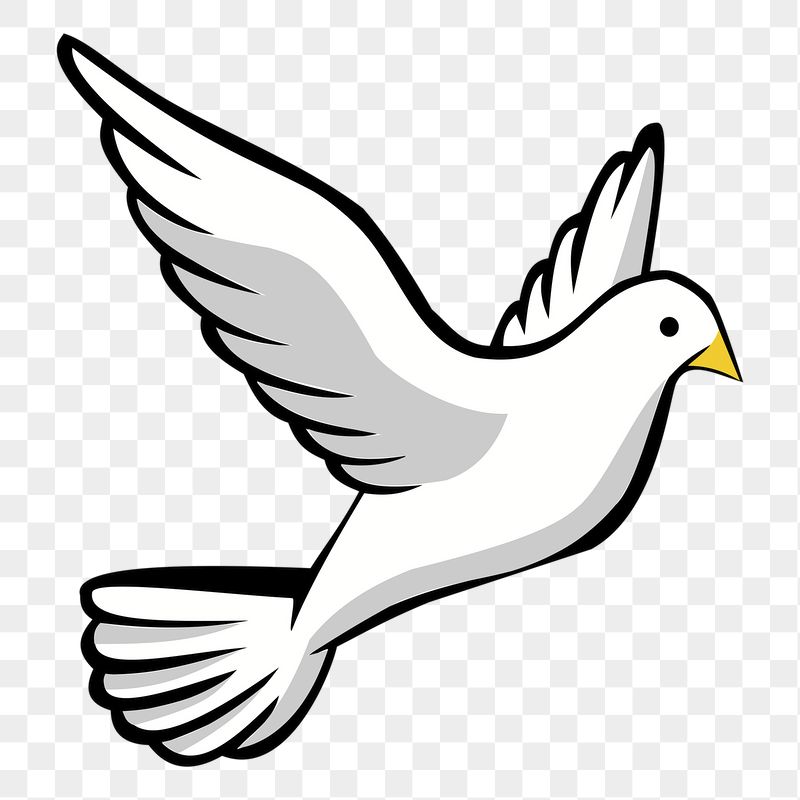 Flying dove png sticker, transparent | Free PNG - rawpixel