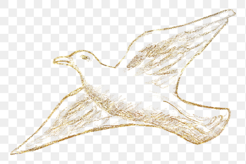 Flying dove sketch png sticker, | Free PNG - rawpixel