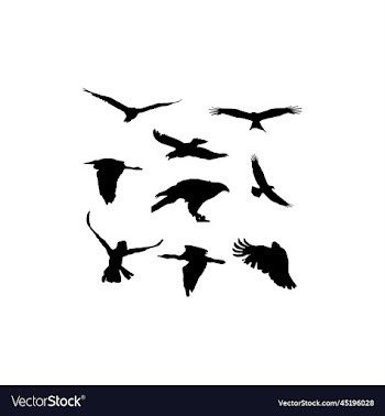 flying eagle icon set design