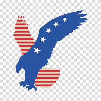 Flying Eagle PNG Image Background