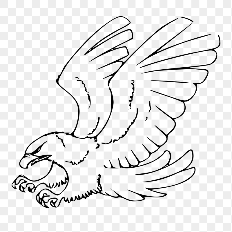 Flying eagle png sticker illustration, | Free PNG - rawpixel