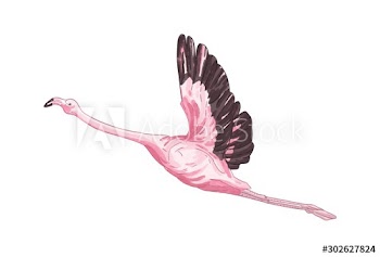 Flying flamingo vector illustration