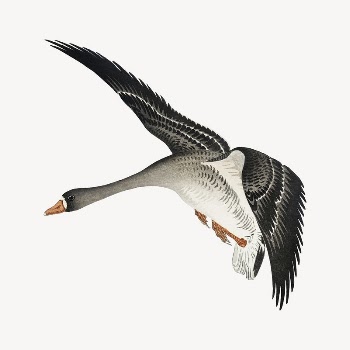 Flying geese collage element, Ohara | Free PSD Illustration - rawpixel