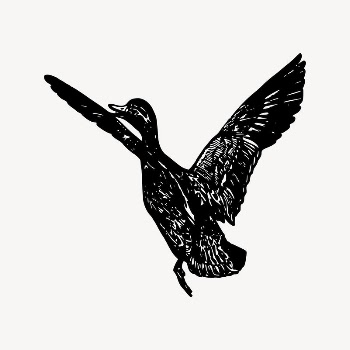 Flying goose drawing, vintage animal | Free Vector Illustration - rawpixel