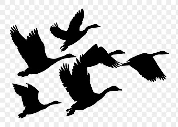 Flying goose png sticker animal | Free PNG - rawpixel