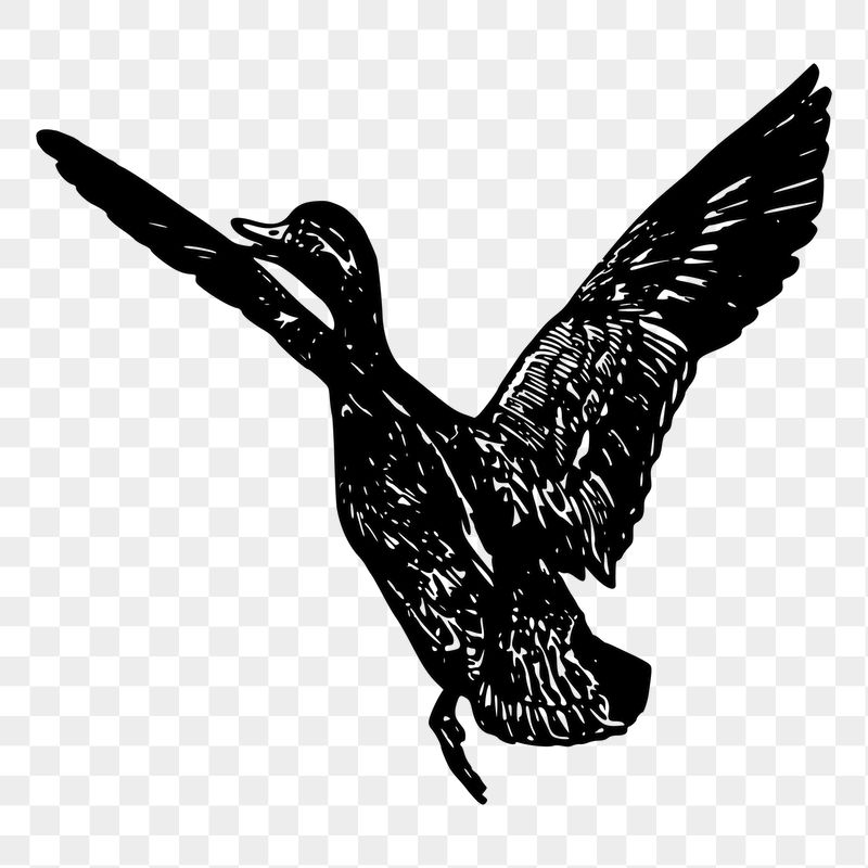 Flying goose png sticker, vintage | Free PNG - rawpixel