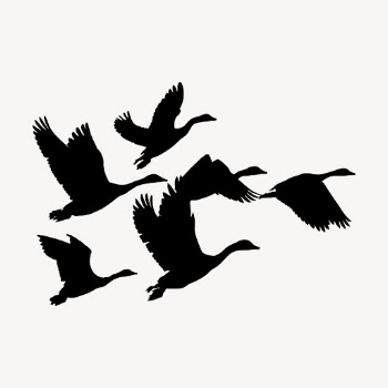 Flying goose silhouette collage element, | Free PSD - rawpixel