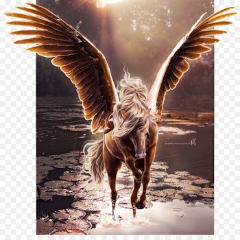 Flying horses Wing Pegasus Unicorn - horse 