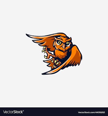 flying owl