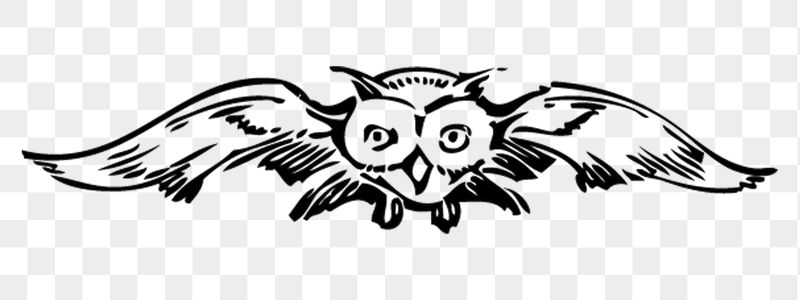 Flying owl png sticker illustration, | Free PNG - rawpixel