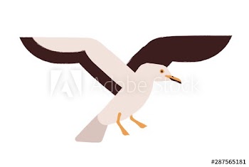 Flying seagull flat vector illustration