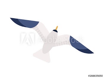 Flying seagull flat vector illustration