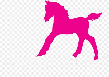 Foal Arabian horse Mare Colt American Quarter Horse - epona poster 