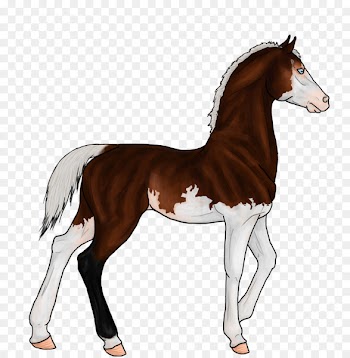 Foal Mane Mustang Stallion Colt - athenas poster 