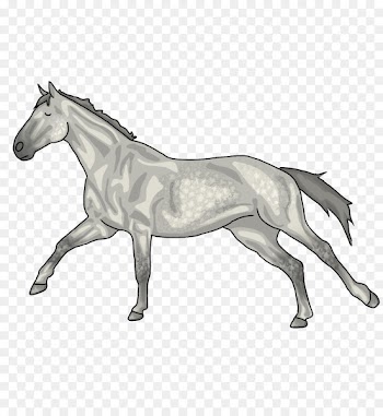 Foal Mane Mustang Stallion Mare - asap graphic 