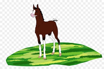 Foal Mare Mustang Stallion Colt - mustang 