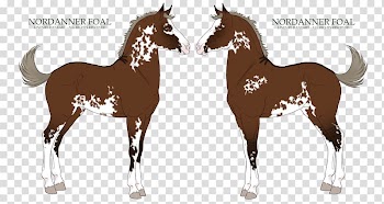 Foal Mare Mustang Stallion Pony, funny once upon a time transparent background PNG clipart