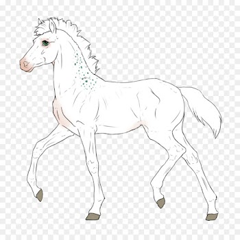 Foal Mustang Colt Stallion Mare - mustang 