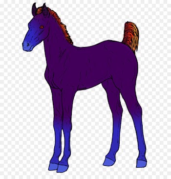 Foal Mustang Colt Stallion Mare - mustang 