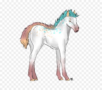 Foal Mustang Donkey Colt Halter - mustang 