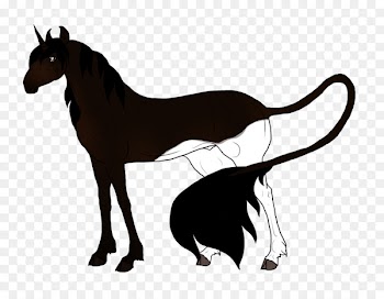 Foal Mustang Mare Stallion Colt - mustang 