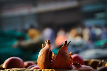 Focal Point Photo of Orange Fruit With Light Effects