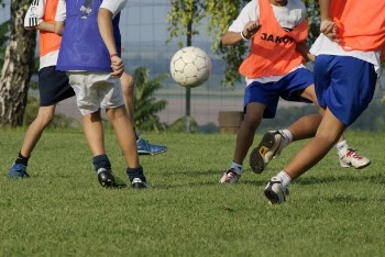 foci5.JPG