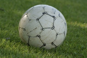 foci8.JPG