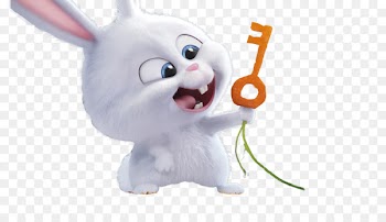 Focus Features Animation Illumination Entertainment Comedy Film - A very cute little rabbit 