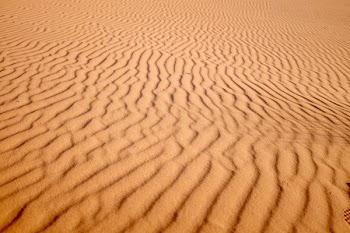 focus photo of desert