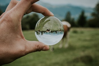 Focus Photo of Person Holding Round Clear Glass Ball