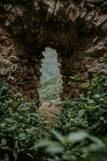 Focus Photography of Cave
