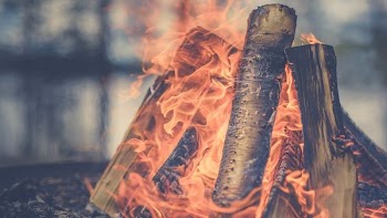 focus photography of firewood burning at daytime
