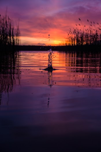 Focus Photography of Waterdrop