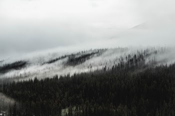Fog blankets the surrounding forest of Moraine Lake.