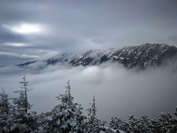 Fog Covered Mountain