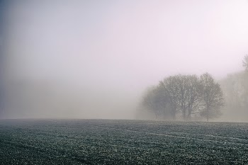 Fog covers a desolate farm | Free Photo - rawpixel