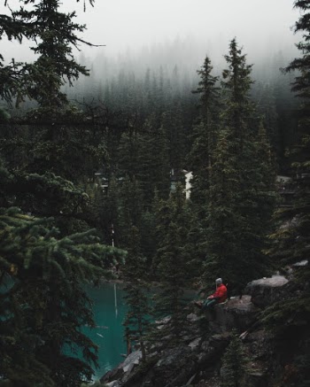 Fog creeps through the forests of Banff as others find their spots to enjoy the view.