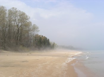 fog on the lake