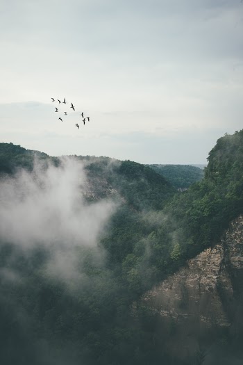 Fog Over Green Mountains